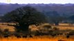 Lion's Fight To The DEATH - Africa's Dry Savannah - Wildlife Documentary