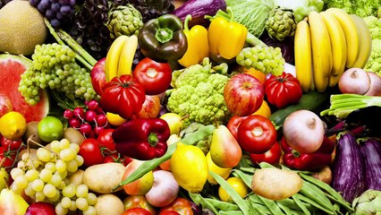 Fish Hooks songs - Camp Camp