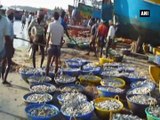 Fishermen blame Indian, Tamil Nadu governments for their arrest by Sri Lanka authorities