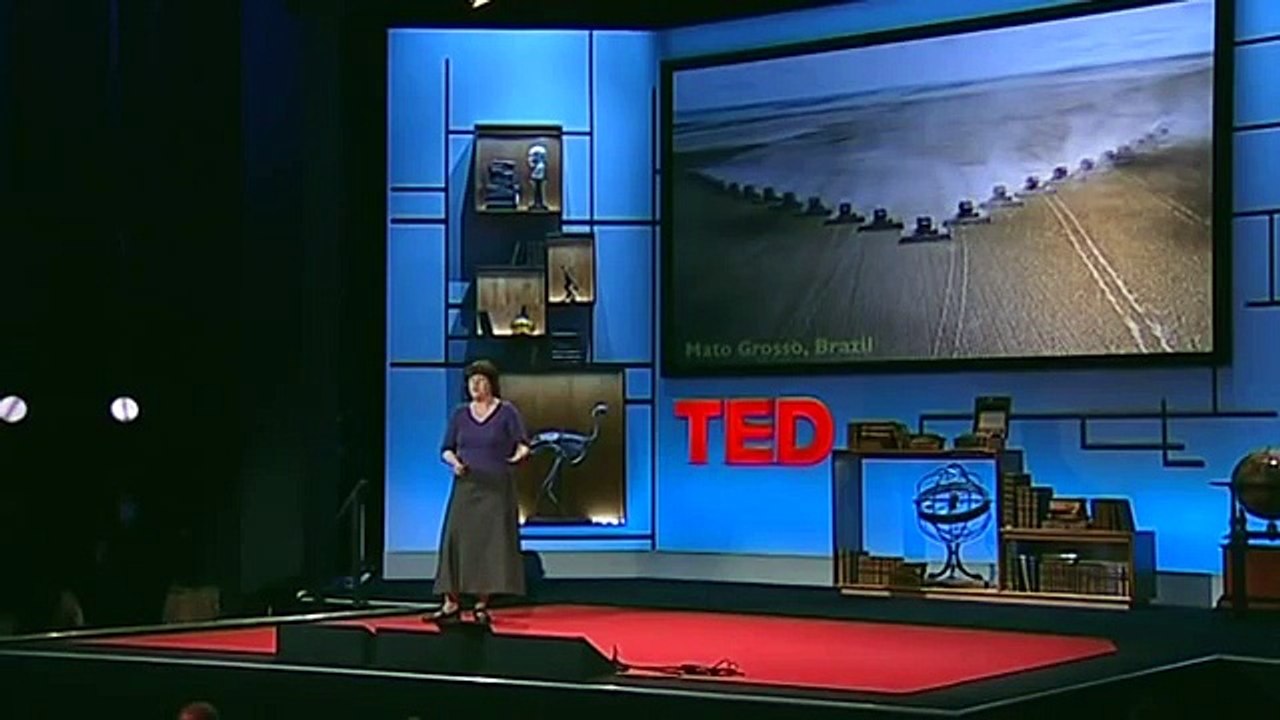 Carolyn Steel: How food shapes our cities: TED TALKS: documentary,lecture,talk: ancient fo