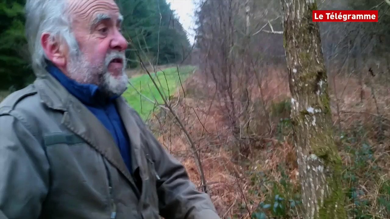 Rando Muco. La randonnée équestre comme si vous y étiez