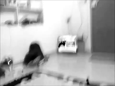 Virat Kohli 82 Batting Highlights - India vs Australia ICC T20 World Cup 2016 -