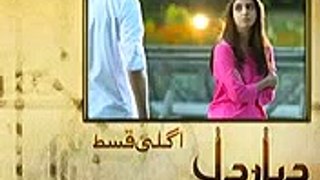 Diyar e Dil Episode 23 Promo on Hum Tv