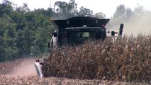 AGCO GLEANER S78 Harvesting Corn