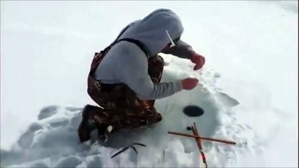 Скачать видео: Ce pecheur va faire une prise incroyable sur ce lac gelé... Dingue!