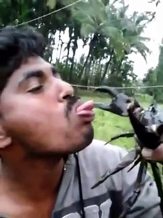 LHomme Le Plus Stupide Du Monde