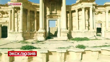 Первые кадры амфитеатра Пальмиры, ставшего для ИГИЛ местом казней