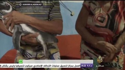 قصة صداقة استثنائية بين رجل وبطريق