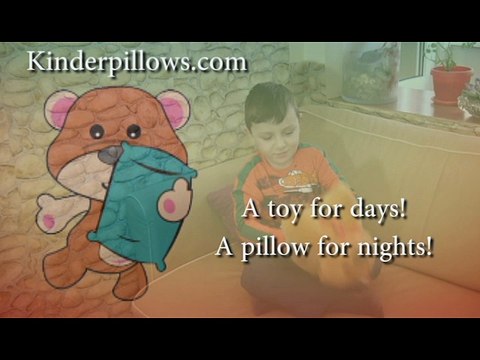 Bear pillow pets