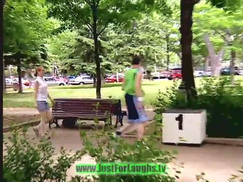 Accidental Death Of A Pigeon - Just For Laughs Gags