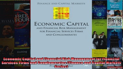 Economic Capital and Financial Risk Management for Financial Services Firms and