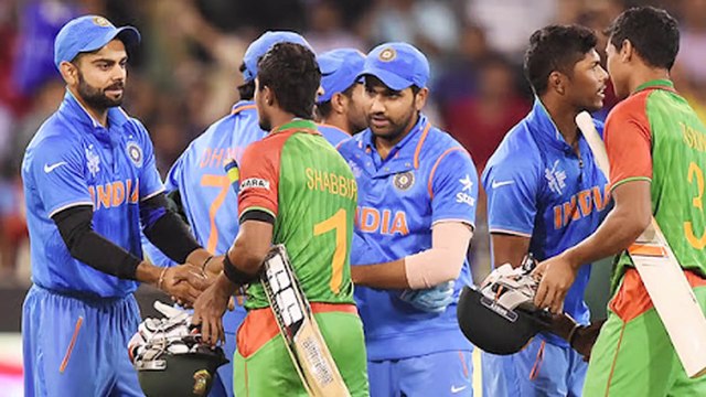 Poonam Pandey Strips To BRA After India's Win Over Bangladesh In T20 World Cup 2016