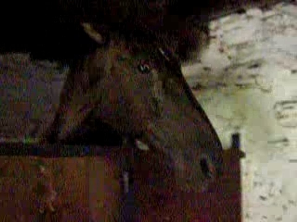 Pictures 030