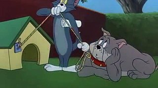 Tom and Jerry - Leash Law  TOM AND JERRY