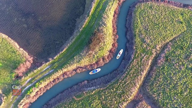 Cap Sud Ouest: les marais de l'île d'Oléron.