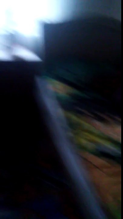 Silahlı essek şakası/oyuncak