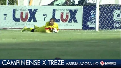 Des abeilles interrompent un match au Brésil