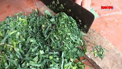 Đồng vốn nghĩa tình đã làm thay đổi cuộc đời tôi