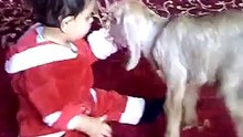 مقطع طريف