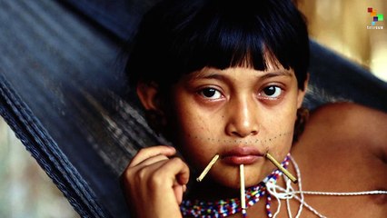Illegal Mining Poisons Brazilian Amazon Communities