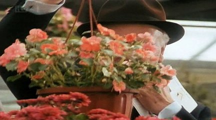 Minder  S09  E02  No Way To Treat A Daley