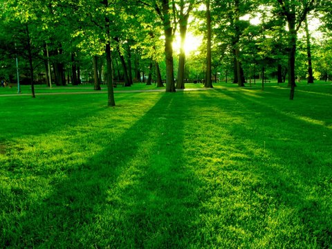 Qué significa soñar con parques y plazas - Sueño Significado