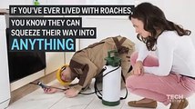 Robotic Cockroaches: How to save Humans?