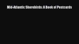 Read Mid-Atlantic Shorebirds: A Book of Postcards Ebook Free