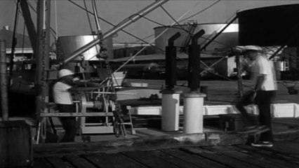 Assault of the Rebel Girls (1959) - Errol Flynn, Beverly Aadland, John McKay - Feature (Action, Adventure)