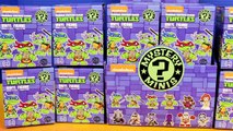 Teenage Mutant Ninja Turtles TMNT Mystery Minis Surprise Blind Box Raph Mikey Leo Shredder Splinter