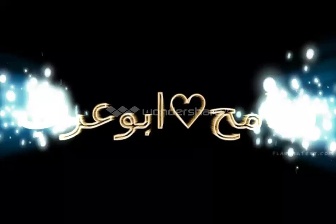 القبض علي الدكش  السلاح الصادر