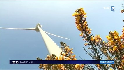 Énergie éolienne : un secteur d'avenir