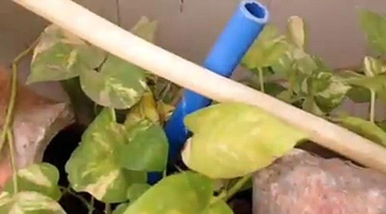 Drop water technology using at home can save water and time.