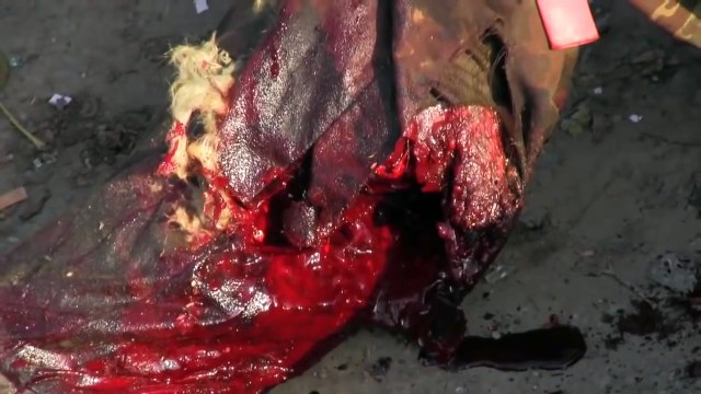 7Б — Эх,твою мать,война!