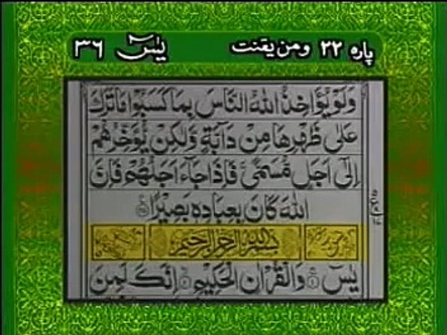 surah yaseen with urdu translation full HD