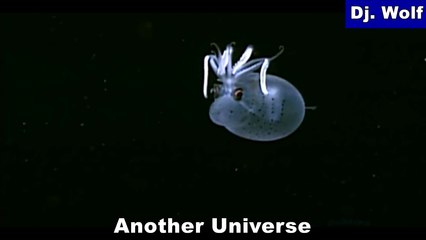 Dj. Wolf - Another Universe