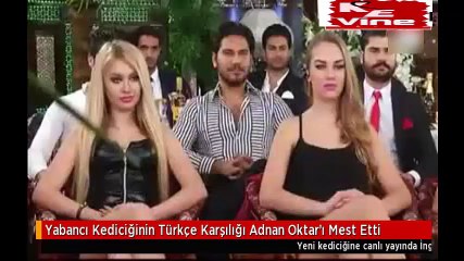 Yabancı Kediciğinin Türkçe Karşılığı Adnan Oktar'ı Mest Etti