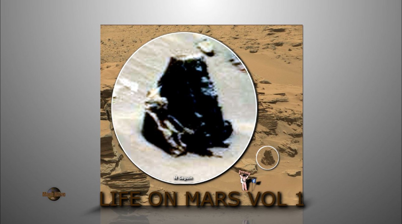 Life On Mars Vol 1