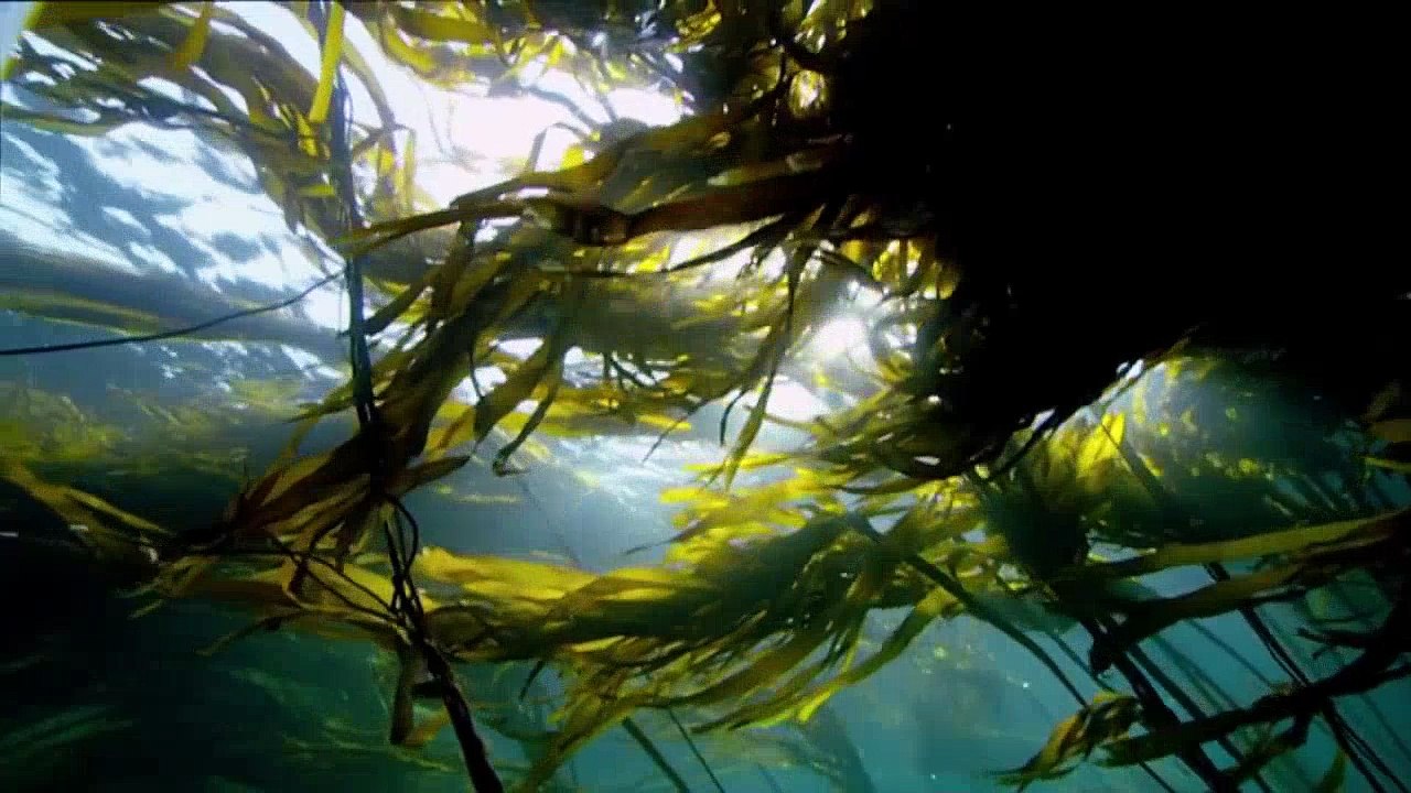 Notre terre, Mère Nature évoluera même sans nous....