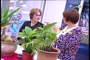 صباحيات : الإثنين 28 مارس