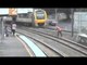 Australia- train Driver Saves Pet Bird-Top Funny Videos-Top Prank Videos-Top Vines Videos-Viral Video-Funny Fails