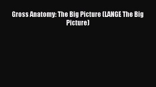 Download Gross Anatomy: The Big Picture (LANGE The Big Picture) Ebook Free