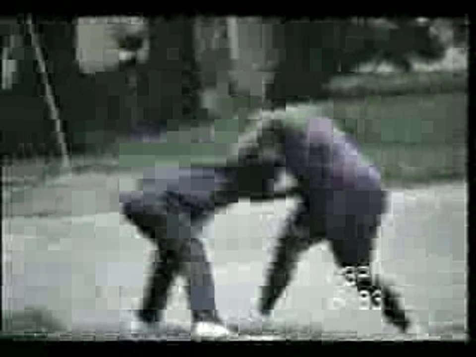 Stupid Drunk x Big Wife