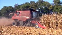 Case IH 9230 Axial-Flow Combine on Tracks