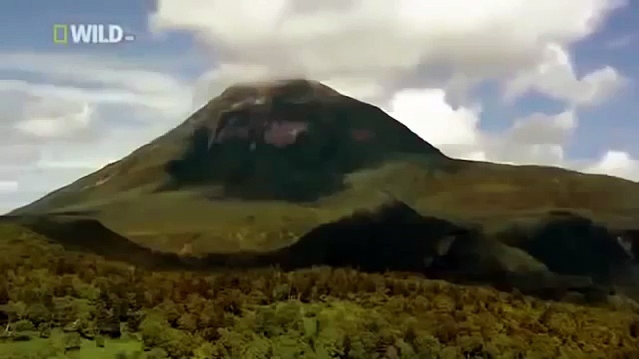 Japan wildlife Nature documentary films HD25