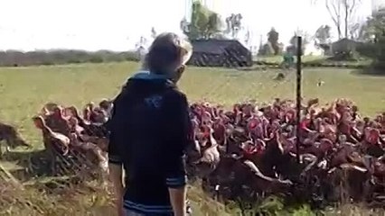 Предоставим массовку на любое предприятие -Ржака до слез