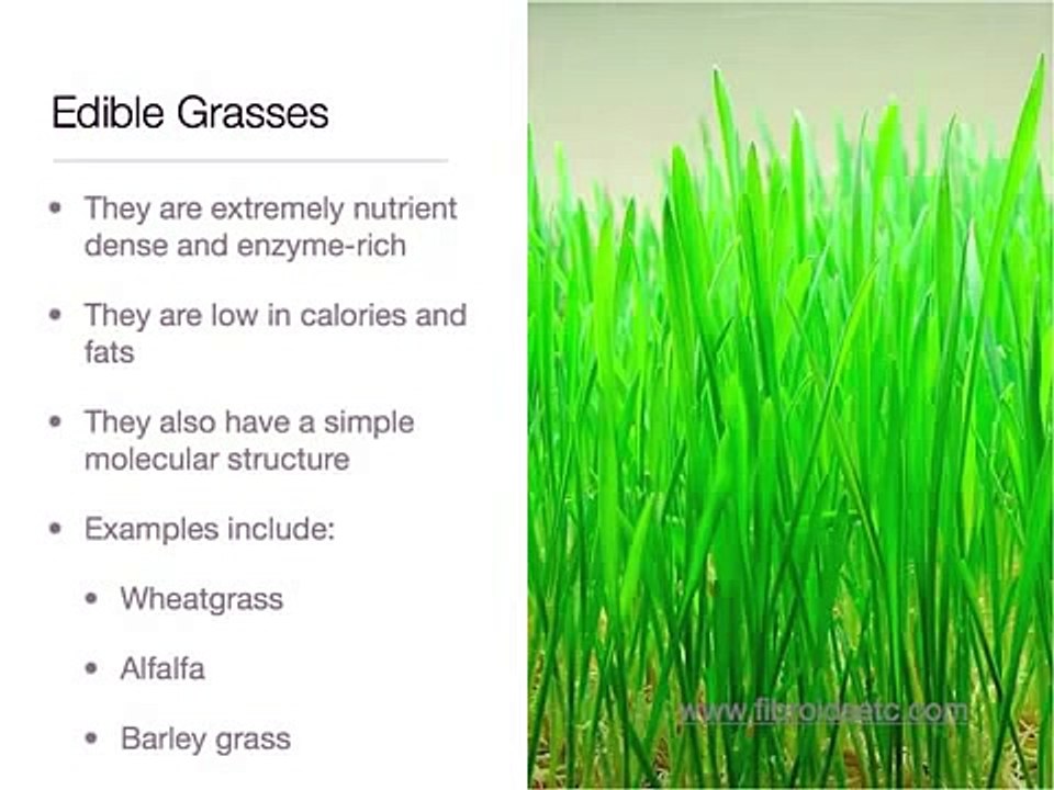 How To Shrink Uterine Fibroids Naturally With Healthy Nutrition