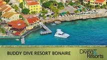 2013 World's Best Diving & Resorts: Buddy Dive Resort Bonaire