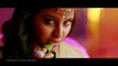 Sarrainodu - Blockbuster Song Promo    Allu Arjun , Rakul Preet , Boyapati Sreenu, SS Thaman