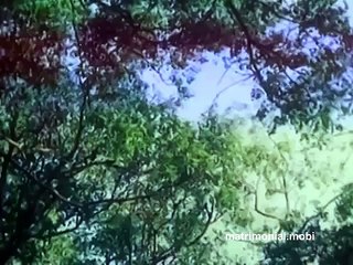 Avaram Poo Arelu Naala - Achamillai Achamillai Tamil Song